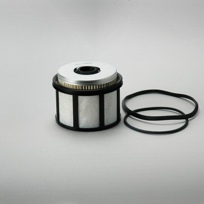 P550437