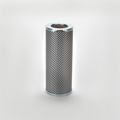 P171813