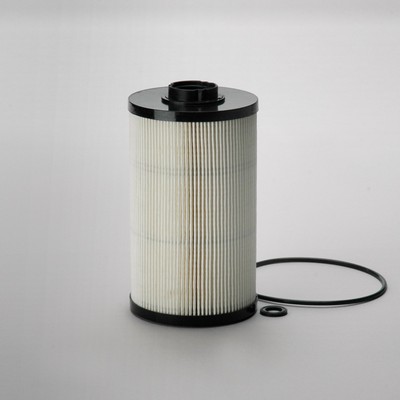 P502423