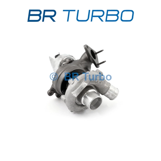 793829-5001RS