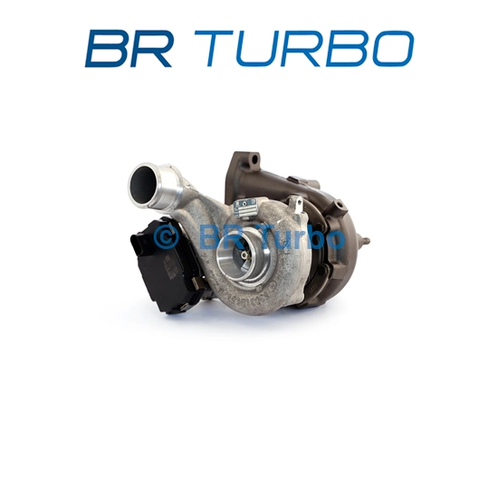 53039900430