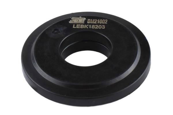 BM21002