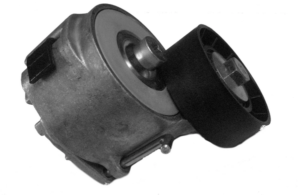 CT1002