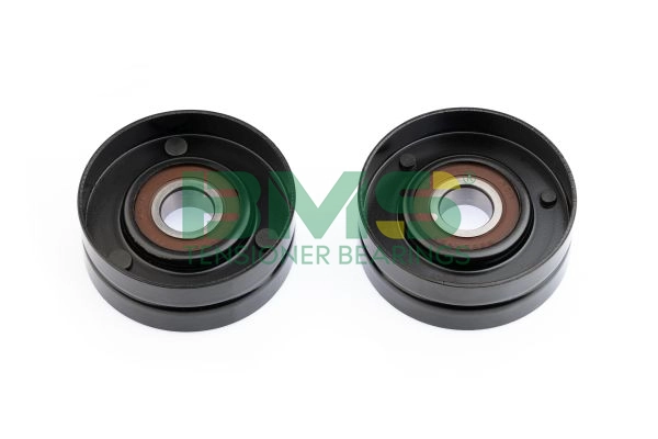 BMS 006