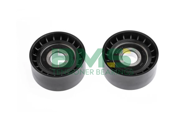 BMS 300