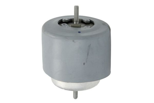RH11-0071