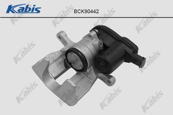 BCK90442
