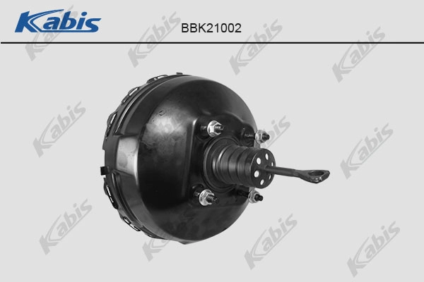 BBK21002