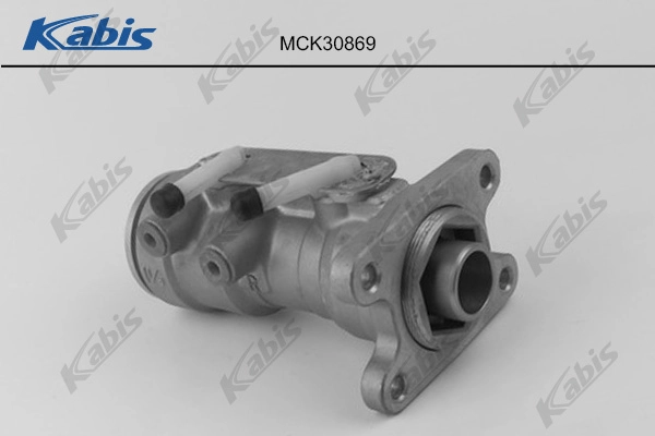 MCK30869