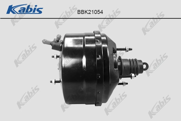 BBK21054