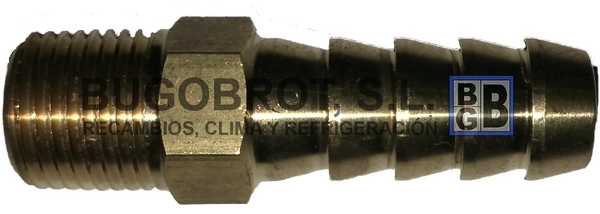 175005