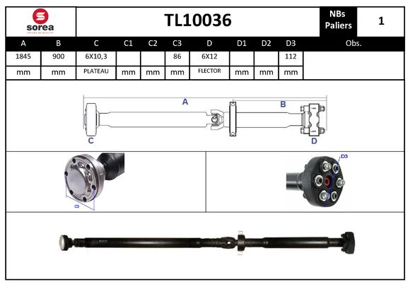 TL10036