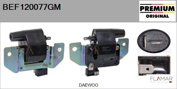 BEF120077GM