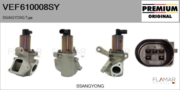VEF610008SY