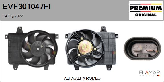 EVF301047FI