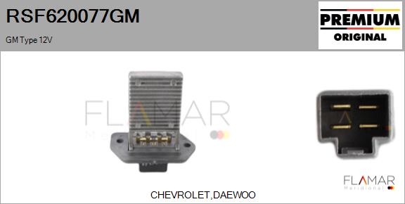RSF620077GM