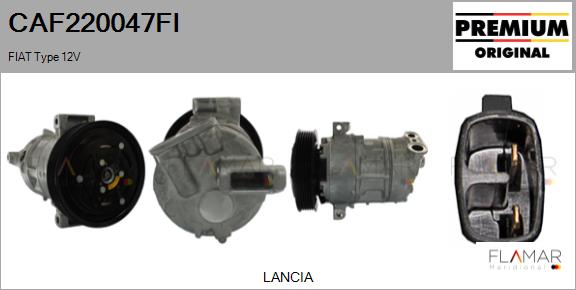 CAF220047FI