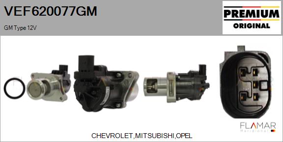 VEF620077GM