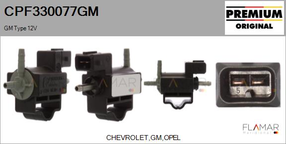 CPF330077GM