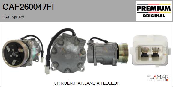 CAF260047FI