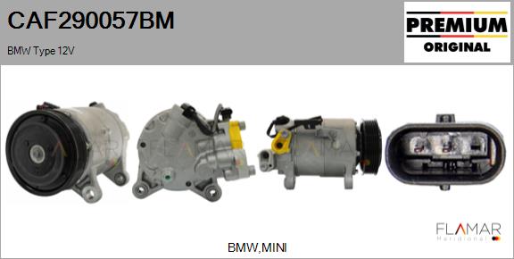 CAF290057BM
