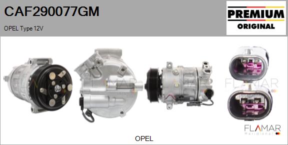 CAF290077GM
