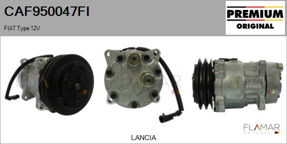 CAF950047FI