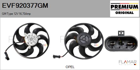 EVF920377GM