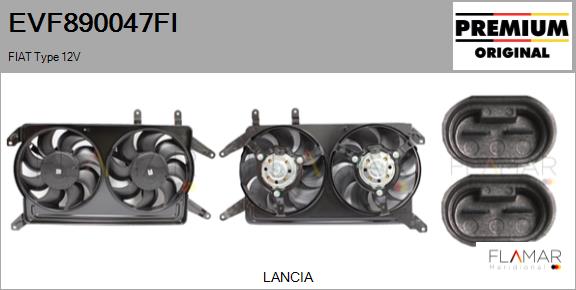 EVF890047FI