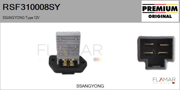 RSF310008SY