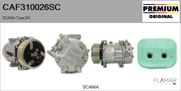 CAF310026SC