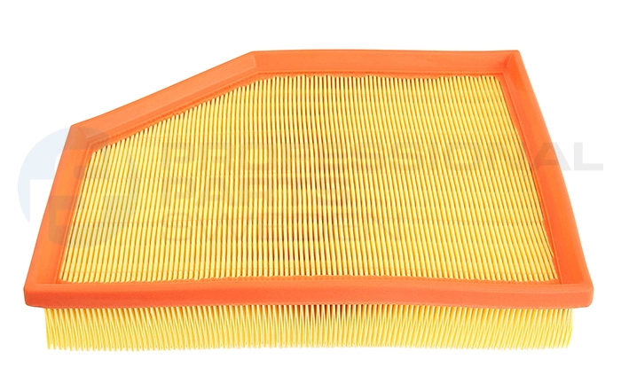 24438022