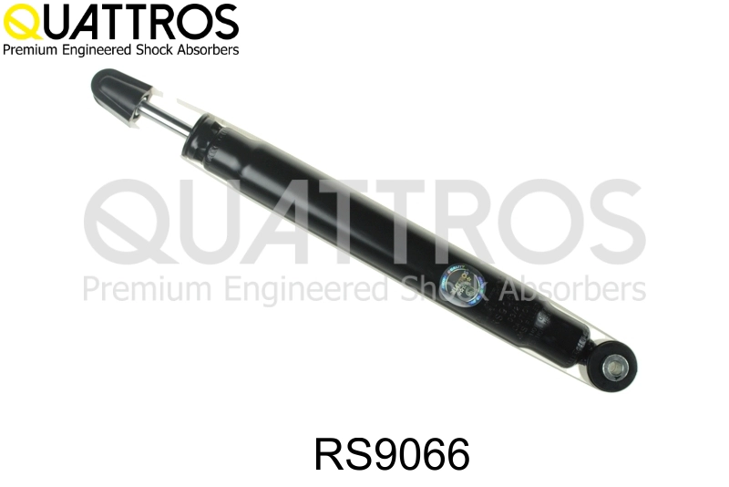 RS9066