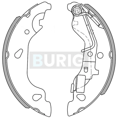 B050081