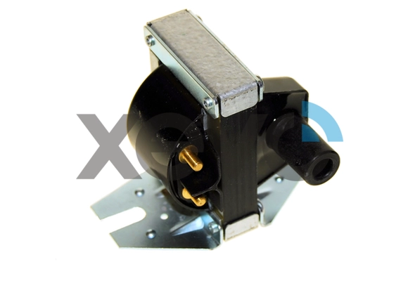 XIG5813