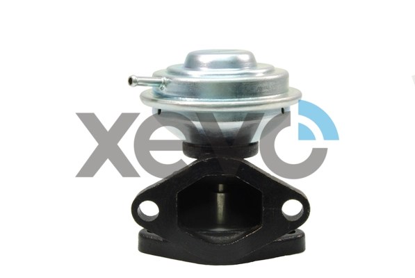 XEG9289