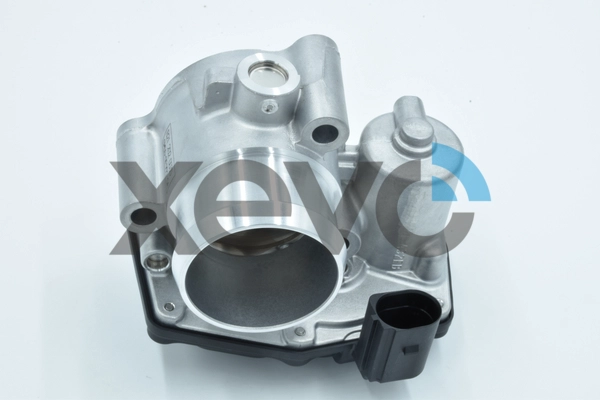 XTB9813