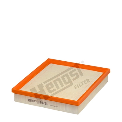 E1079L
