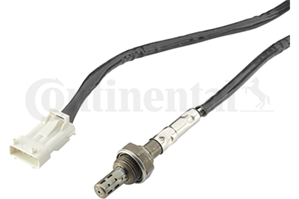A2C59513870Z