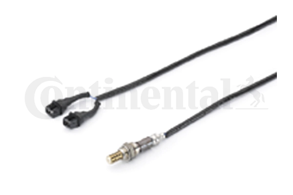A2C59513305Z