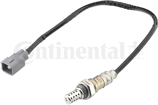 A2C59513889Z