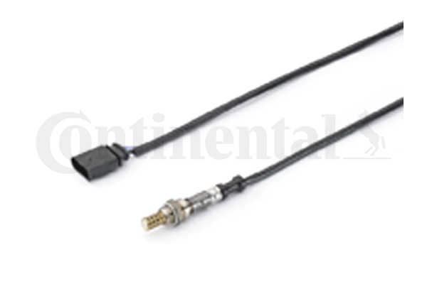 A2C59513329Z