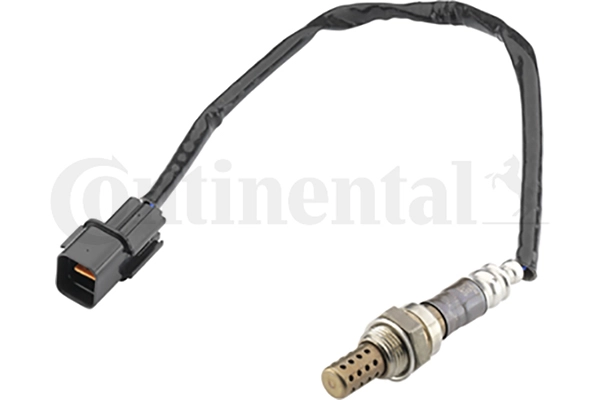 A2C59513874Z