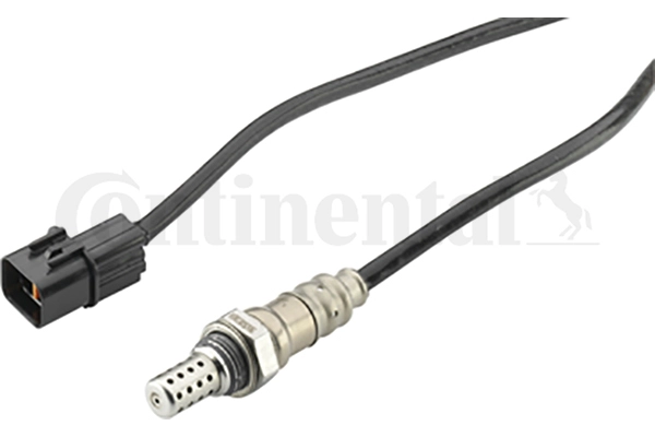 A2C59513892Z