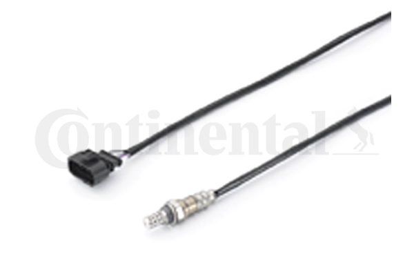 A2C59513312Z