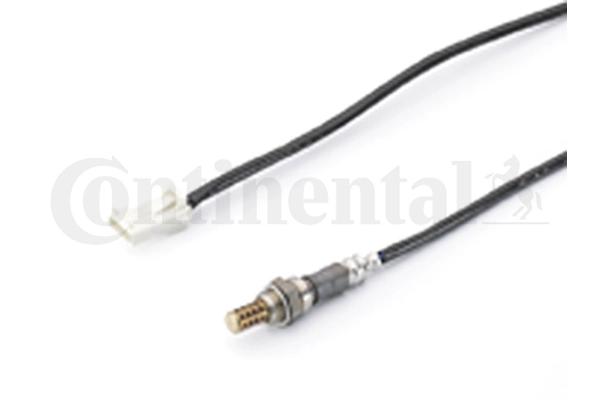 A2C59513321Z