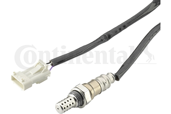 A2C59513878Z