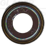 P77809-00
