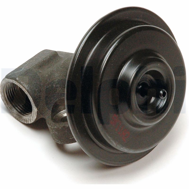 EG10246-11B1