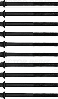 ZJ01-10-135 (10X)